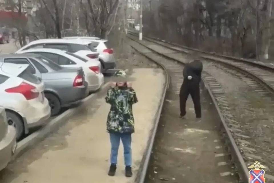    Фото: ГУ МВД России по Волгоградской области