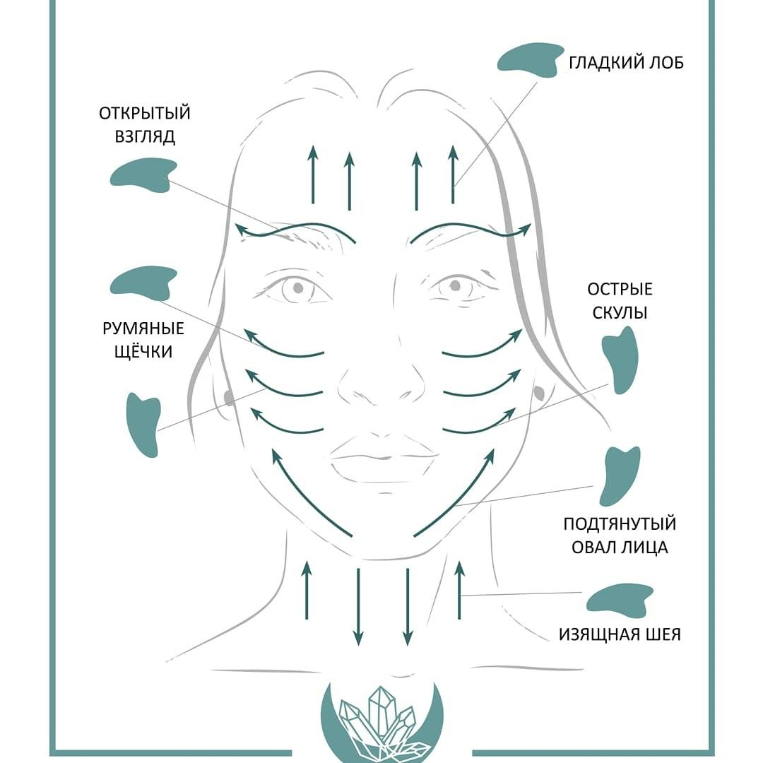 Схема массажа лица скребком Гуаша