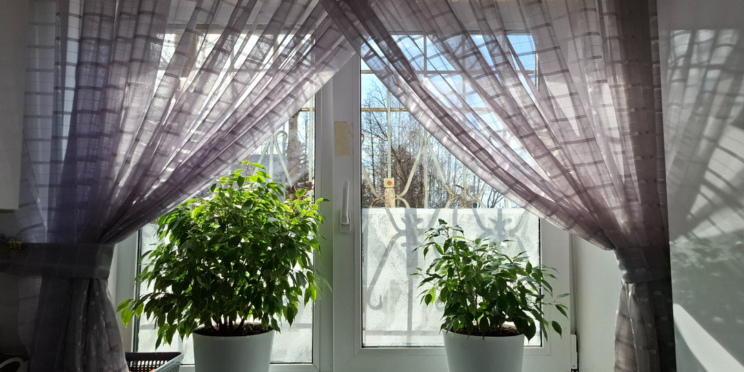 29 марта 2026 год . Воскресенье. Генеральная уборка. Творожная ватрушка с яично-сырной начинкой.