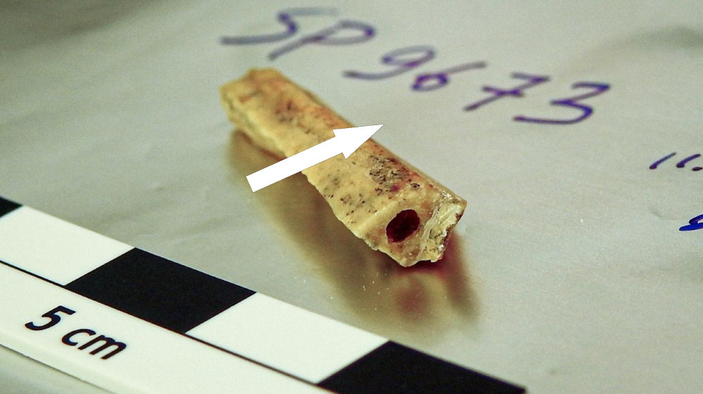    Два Неандертальца в одной пещере через 10 тысяч лет — как родственники связаны с древним костяком