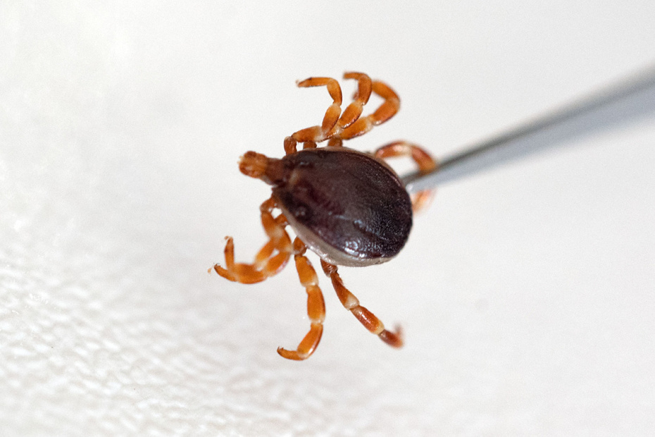    Marijan Murat/dpa/Global Look Press