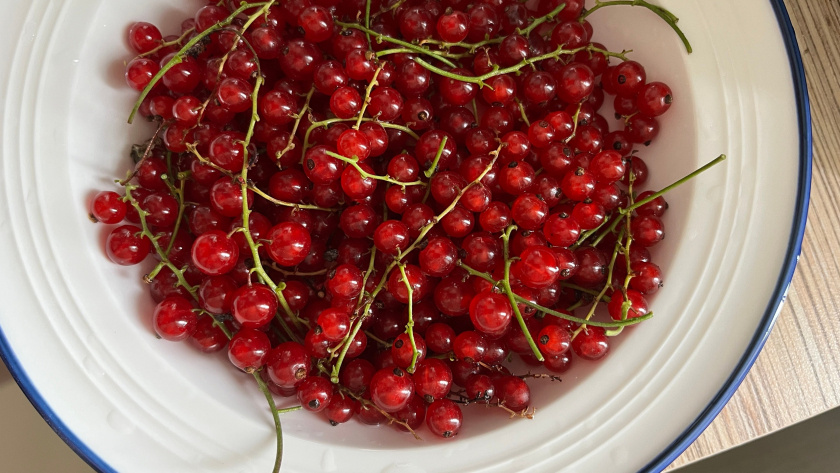    Фото: ПроГород