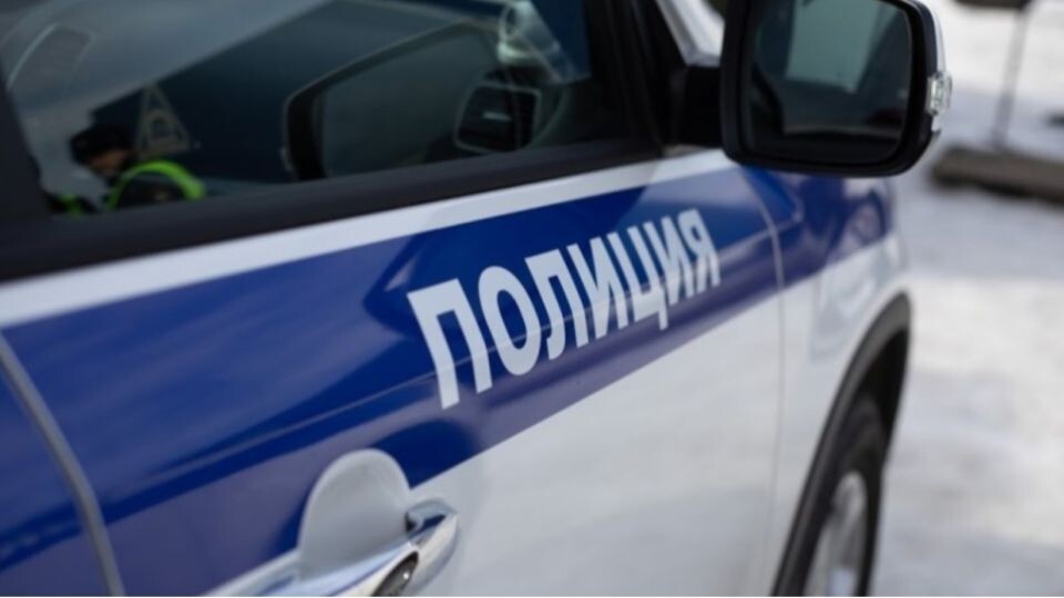    Полиция. Машина. МВД . Источник: Анна Меньшикова, "ТОЛК"