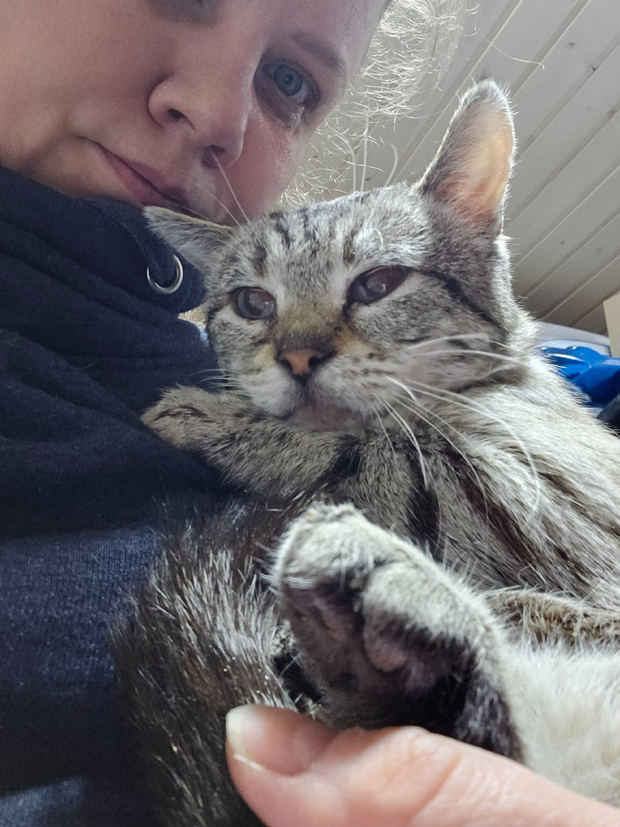 Фото автора. КотЯ оооооочень хочет жить.