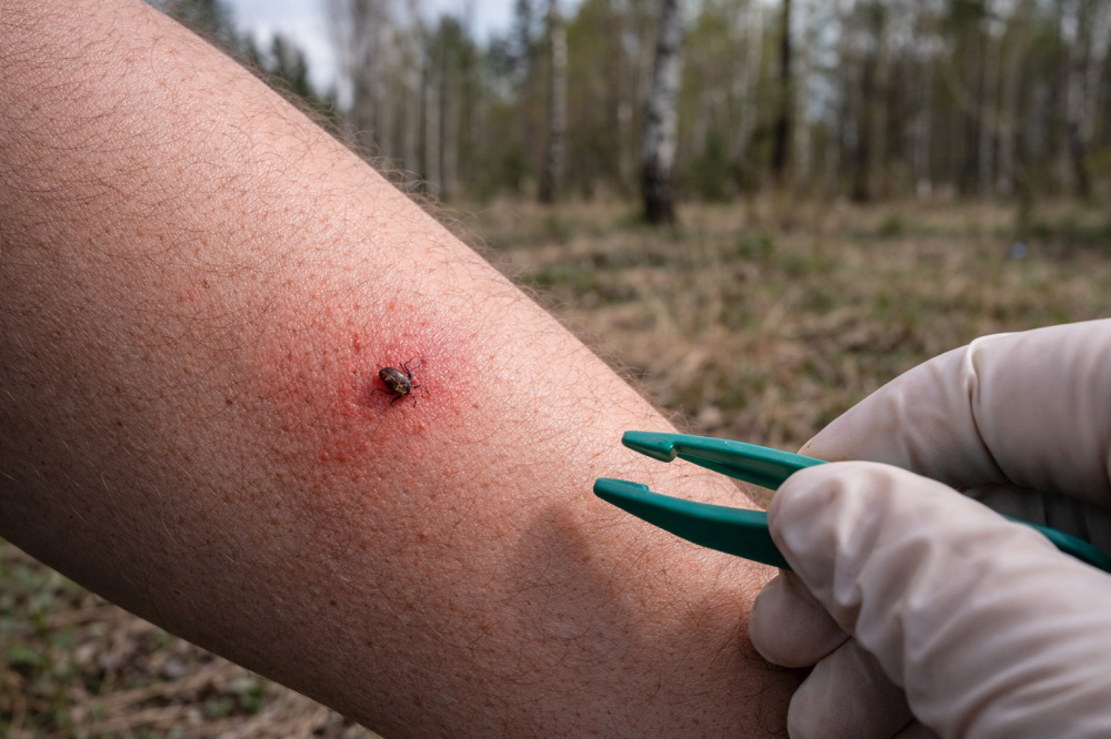     Фото: Изображение создано с помощью нейросети. Редакция "Тагил Лайф" использует нейросеть для дополнения материалов полезной информацией