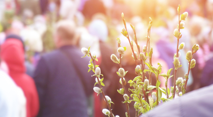 Источник: Getty Images/iStockphoto