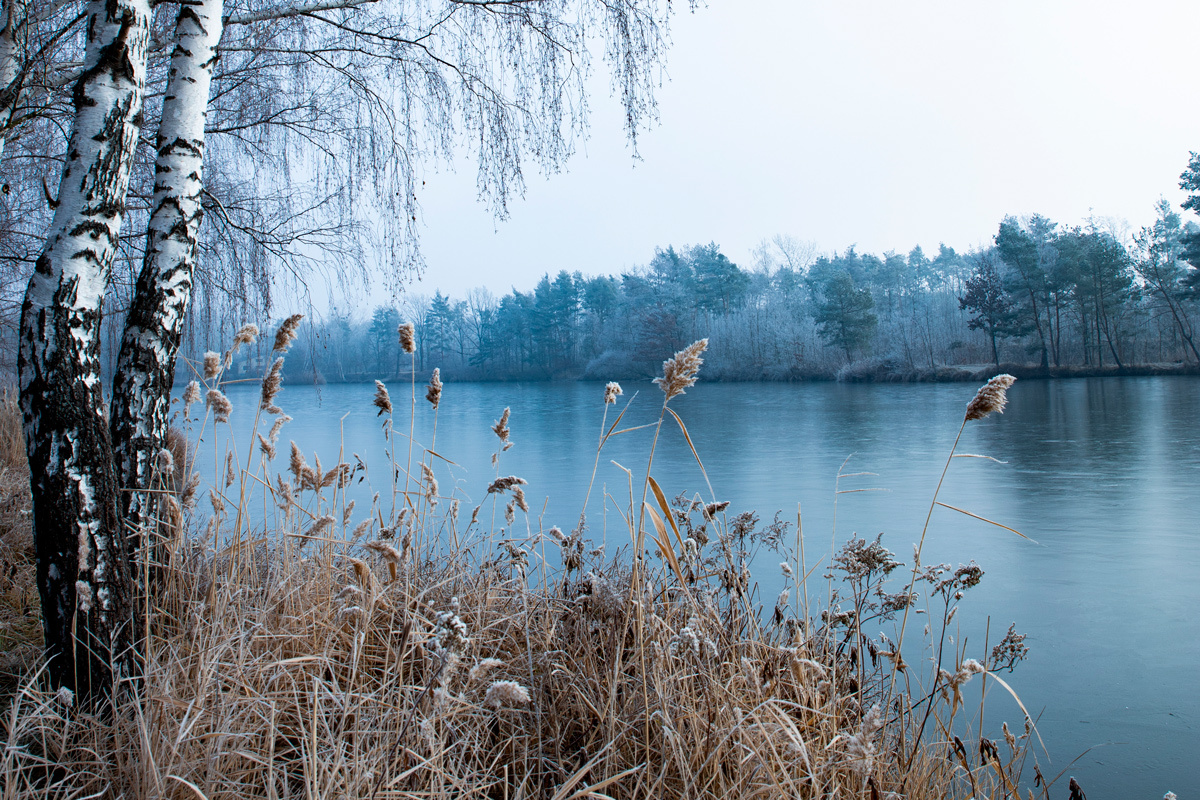    Фото: wirestock / Freepik.com