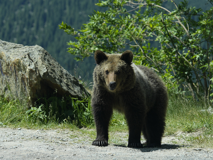     Фото: Oscar J. Barroso/Keystone Press Agency/Global Look Press