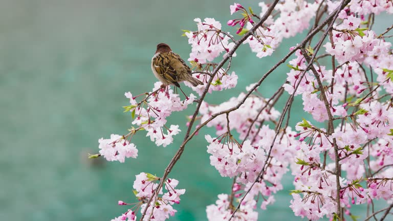 Источник: Getty Images