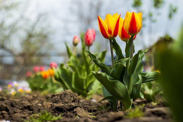 Источник: Getty Images/iStockphoto