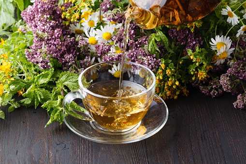 Мой личный чайный плантатор. Спасибо ИИ за подбор сортов