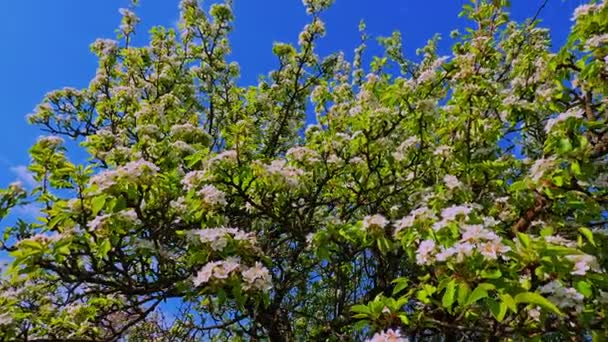 Источник: Depositphotos