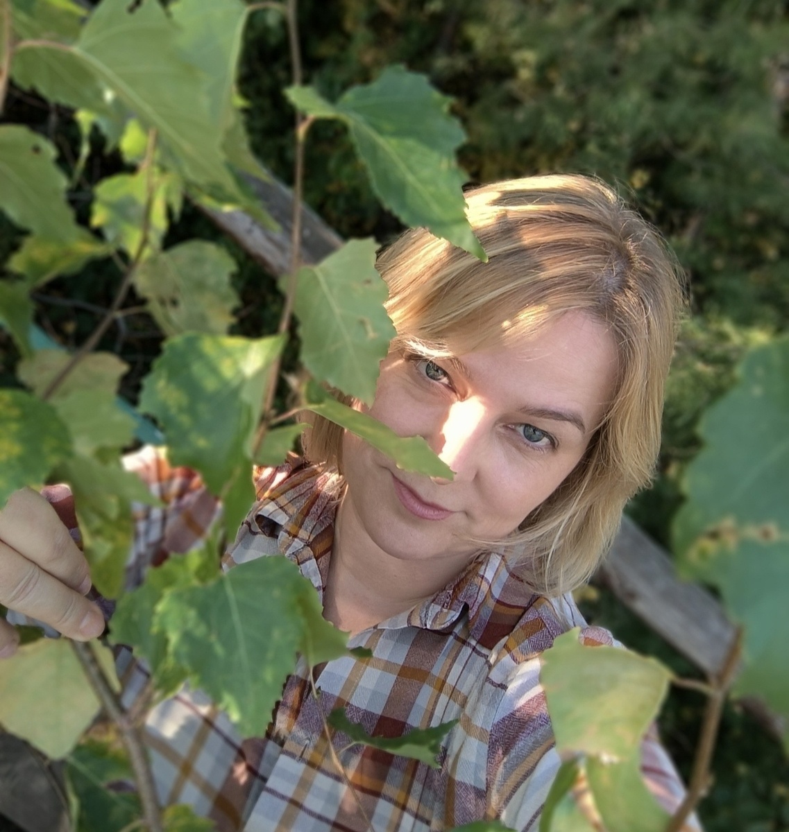 Фотографии в статье авторские