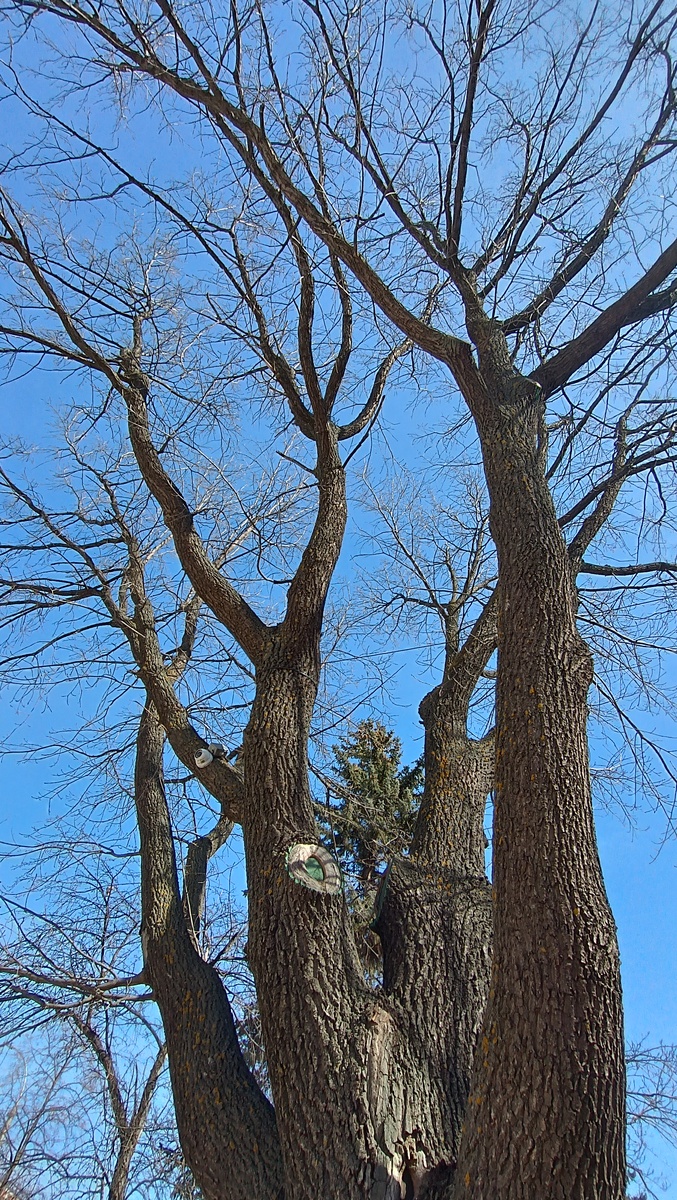 Здесь и сейчас у нас, в Ульяновске, наконец-то ВЕСНА! 