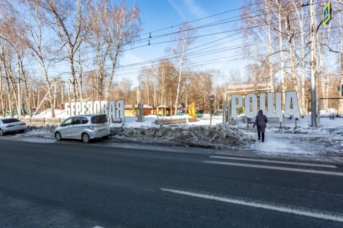   В парках Новосибирска завершился зимний сезон