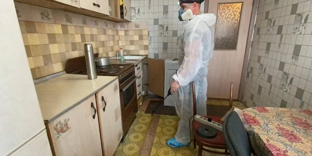 Как подготовить помещение к обработке от насекомых: важные правила перед дезинсекцией