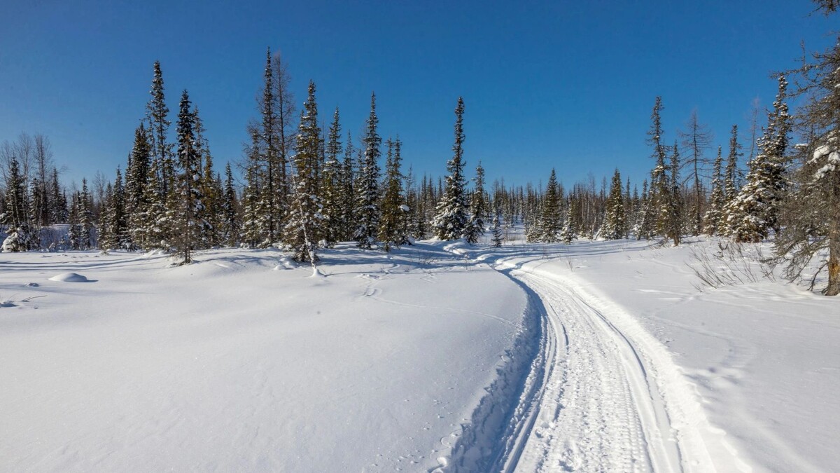    Фото: Федор Воронов/«Ямал-Медиа»