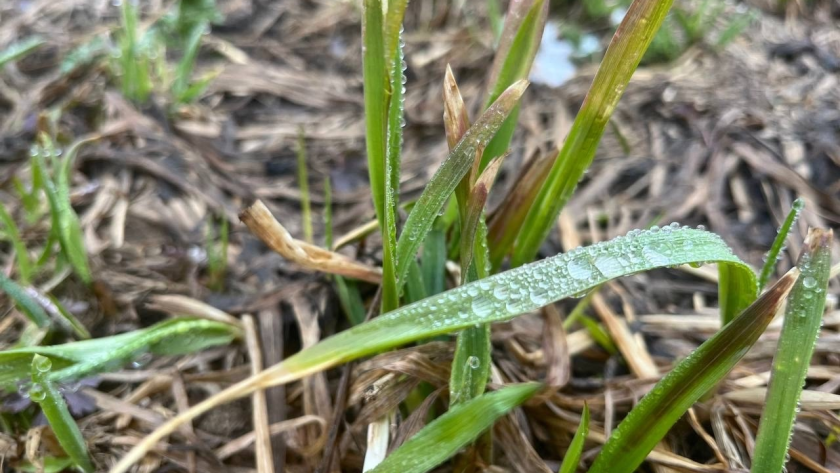    Фото из архива "Про Города Сыктывкар"
