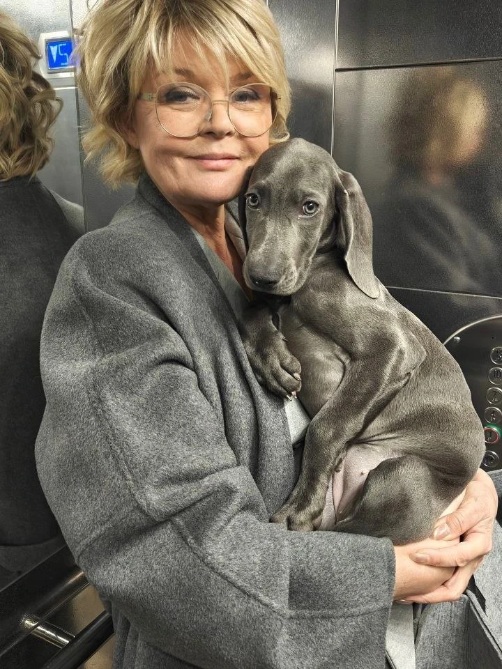 Юлия Меньшова с собачкой Ритой. Фото: соцсети