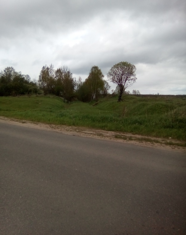 Узкоколейка на окраине Издешково, пересечение с автодорогой 