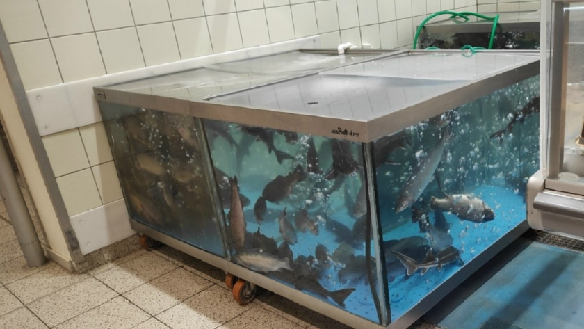    Иллюстративное фото из архива Pro Город