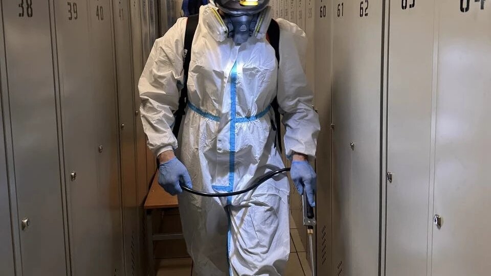 Как выбрать службу пест-контроля: чек-лист для клиента