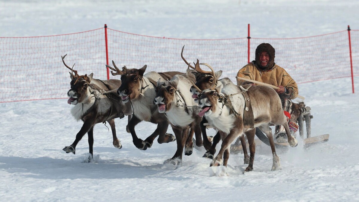    Фото: Андрей Ткачев/«Ямал-Медиа»