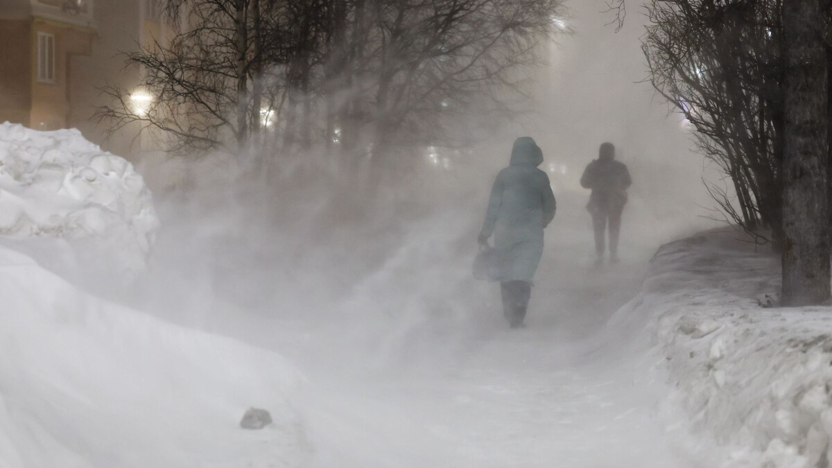    Фото: Андрей Ткачев / «Ямал-Медиа»