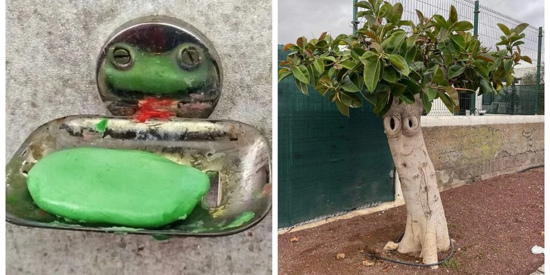 30 случаев, когда мир смотрит на тебя в упор и с интересом