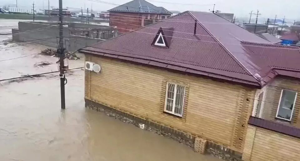    РИА «Новости»