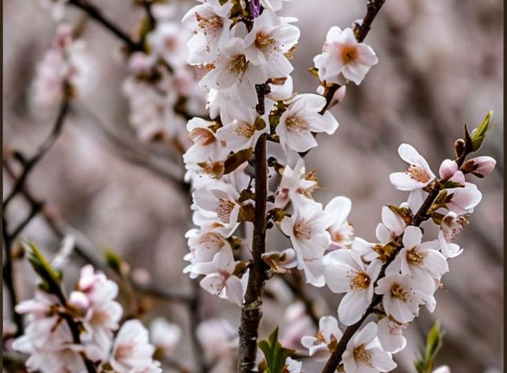 Как мы живём