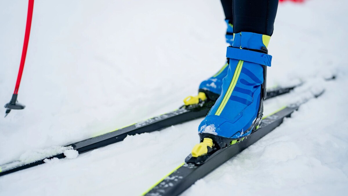    Фото: Сергей Зубков/«Ямал-Медиа»