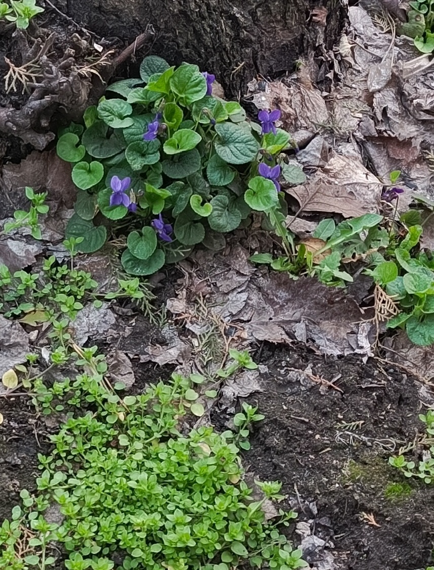 Фото автора.