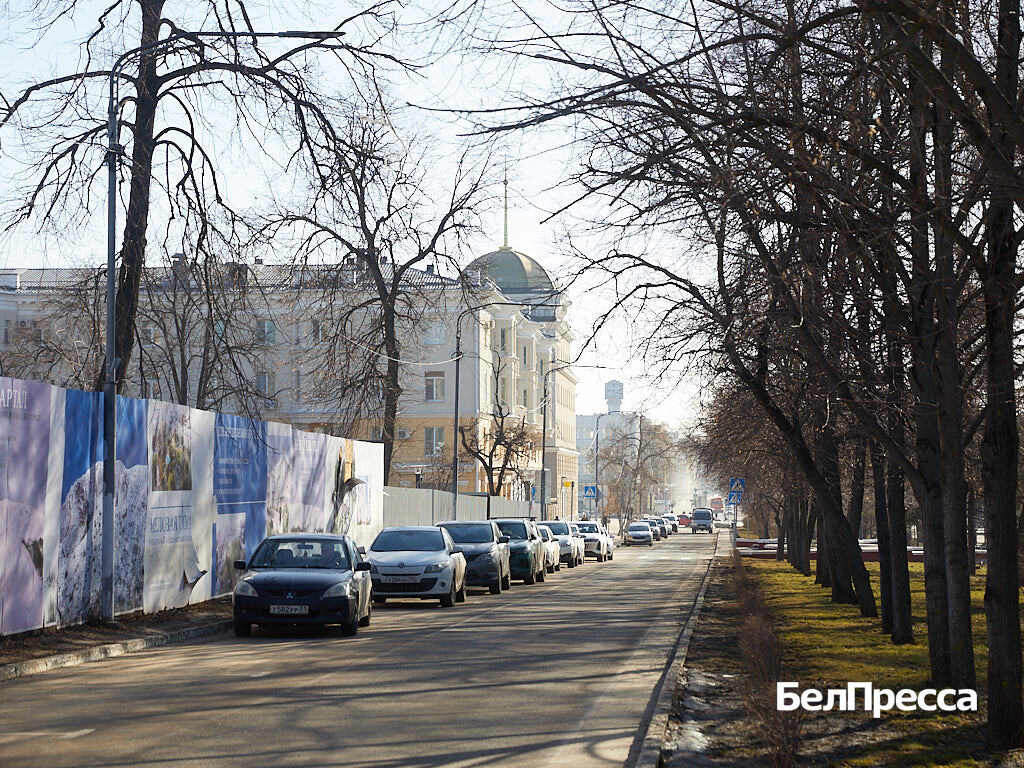     Фото: Елена Журавлёва