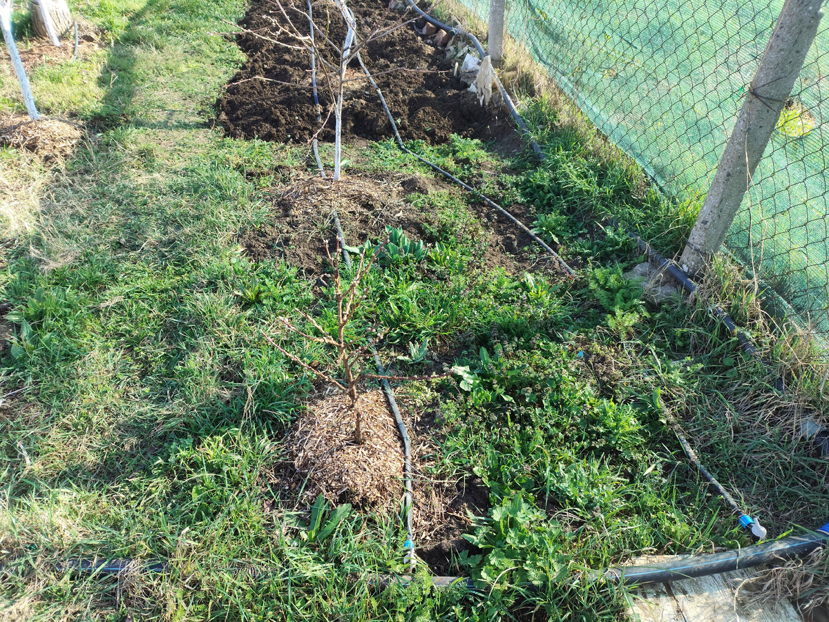 Еще два осталось. За один подход надеюсь осилить.