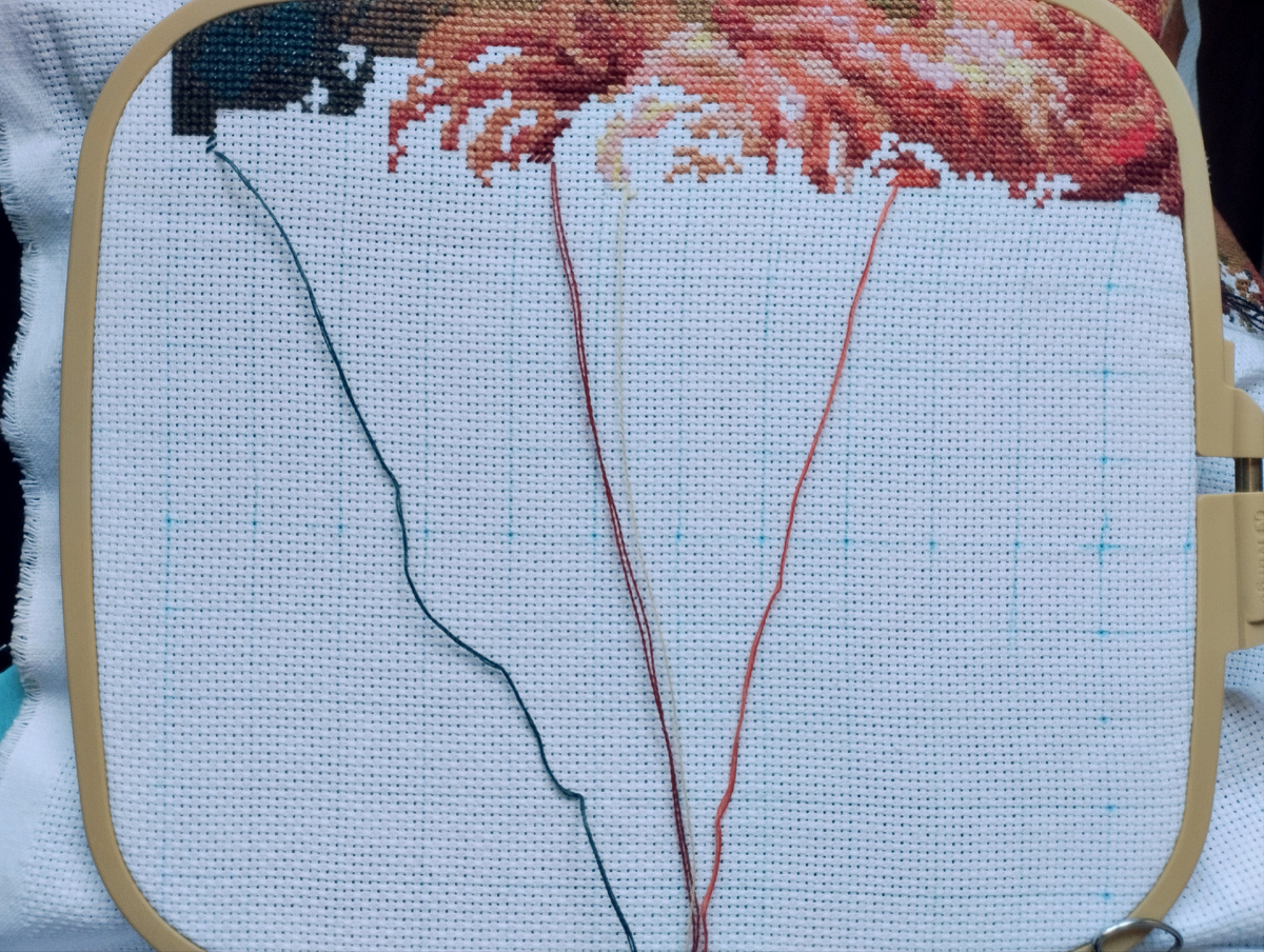 Розы - было. 32%