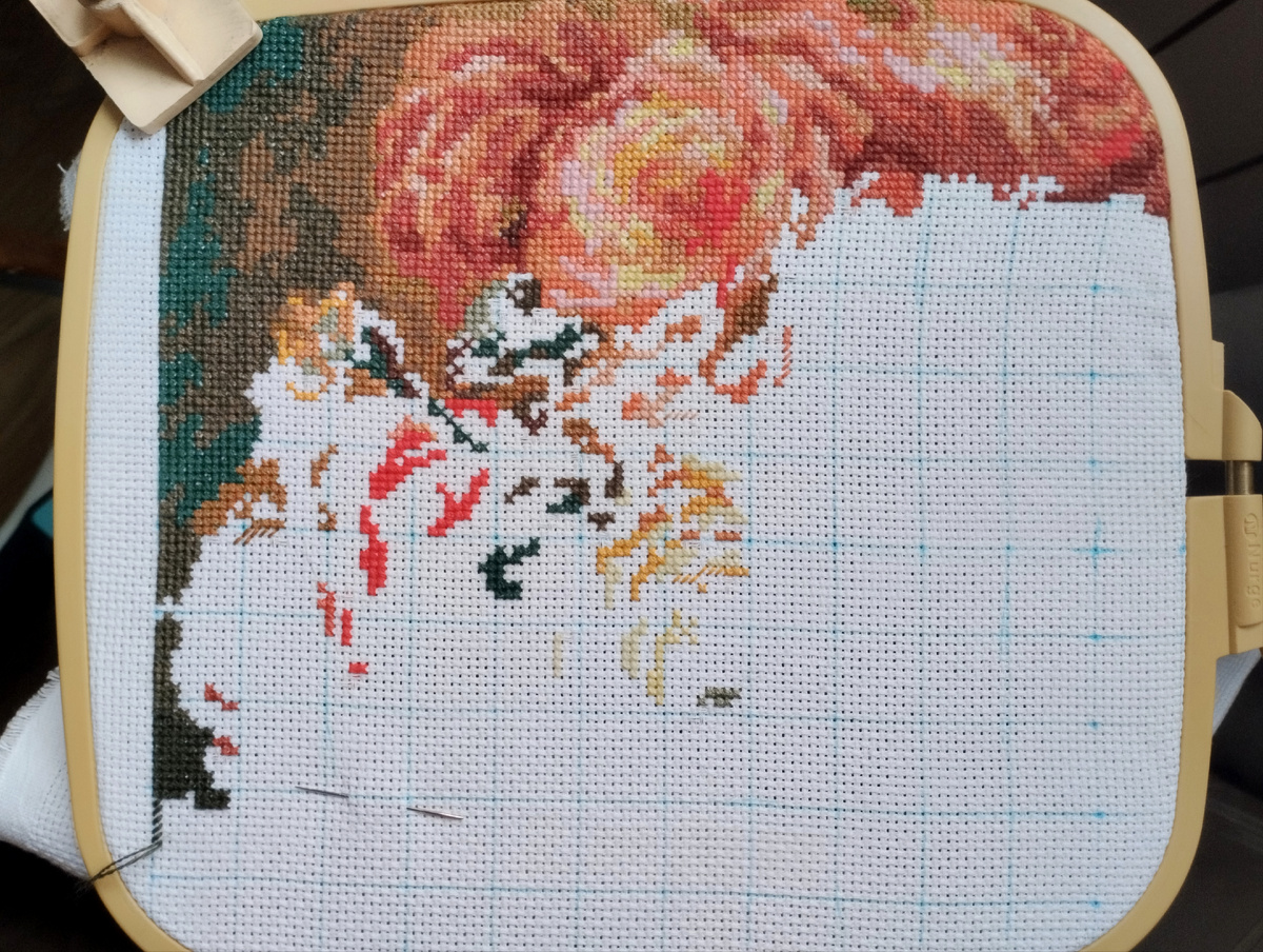 Розы - стало. 37%