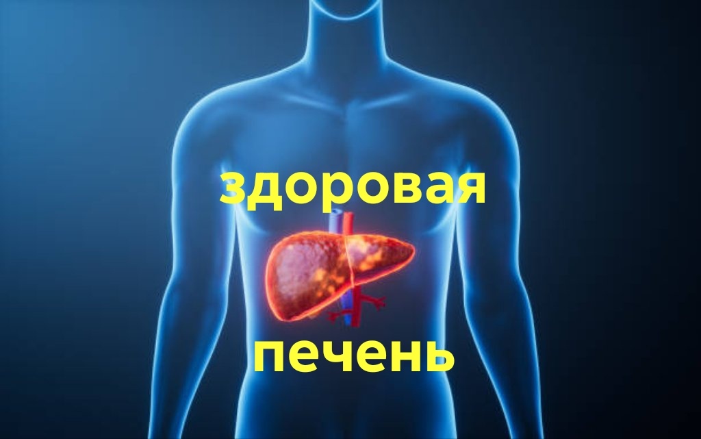 Яндекс картинки