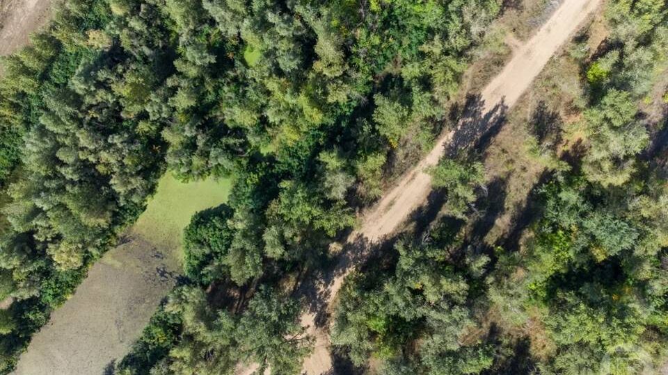 Запреты и приметы 29 марта в Саввин день: чего не стоит делать, чтобы избежать проблем