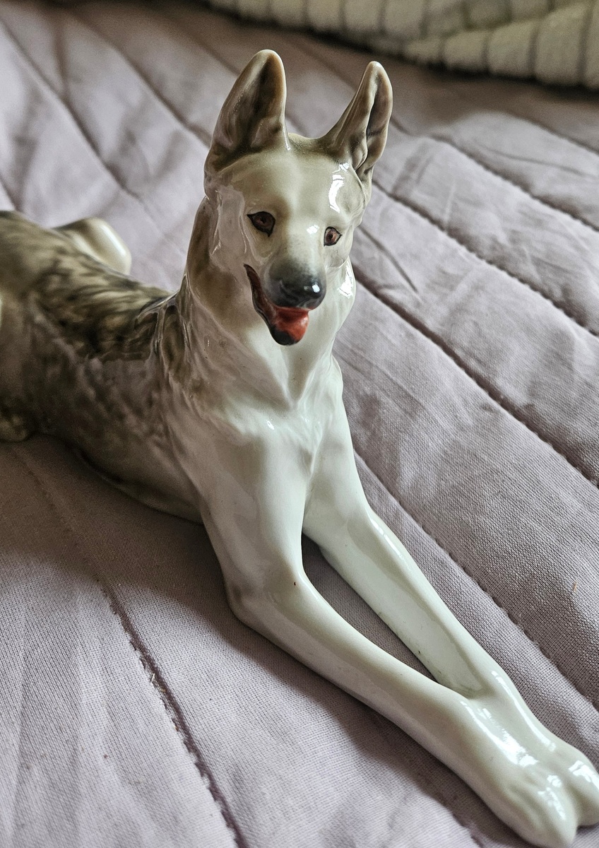 посмотрите какой взгляд