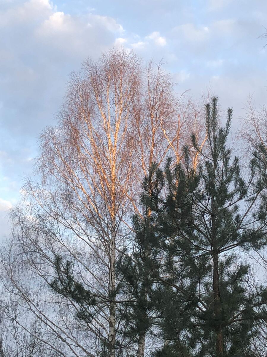 Восход солнца сегодня, вид из окна.