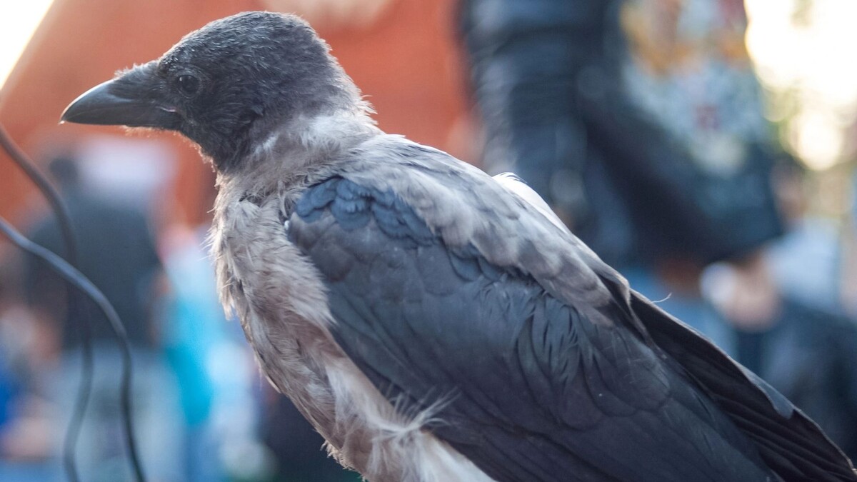    Фото: Сергей Зубков / «Ямал-Медиа»