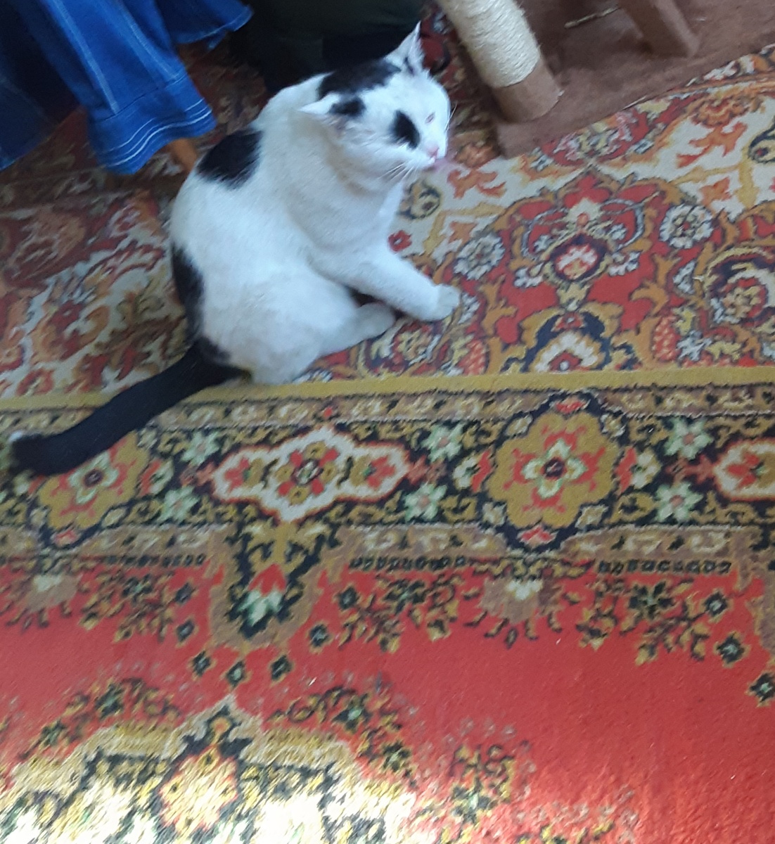 Ох, щас сдохну, леший бы их побрал, баб этих, с Йосей вместе