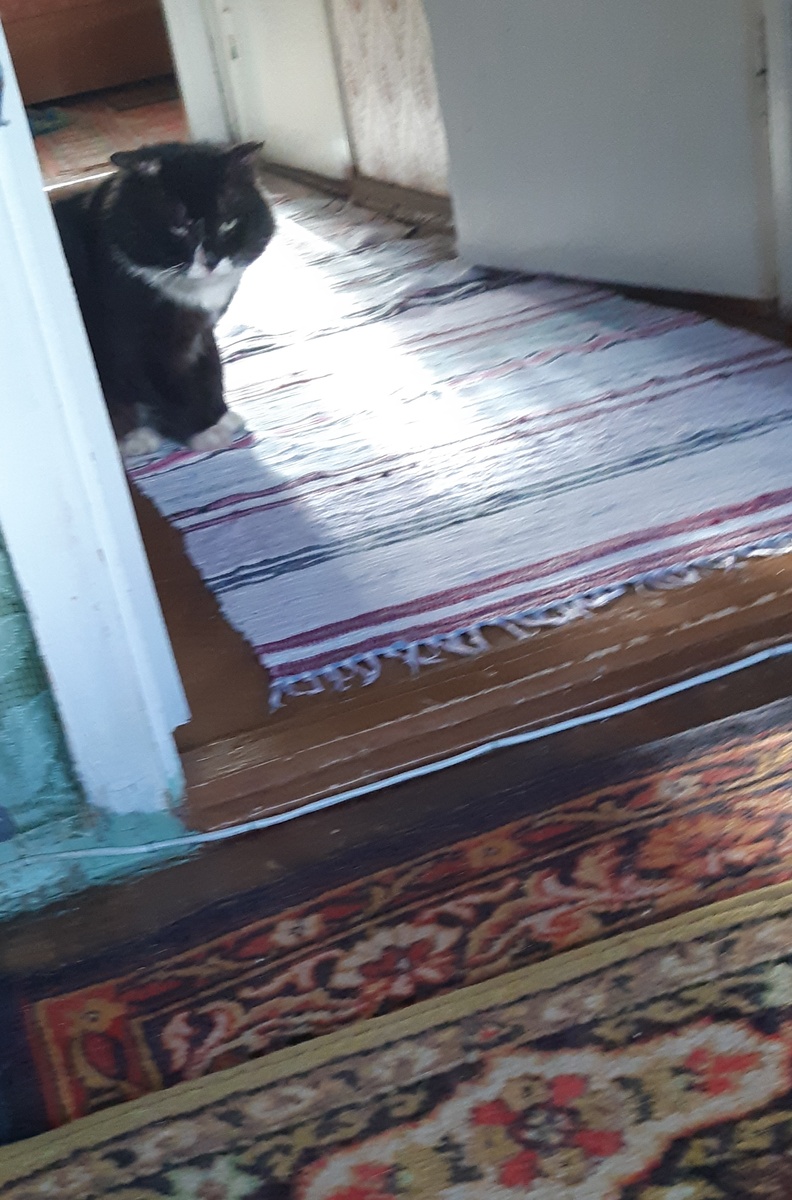 Нигде, вокруг дома походили.