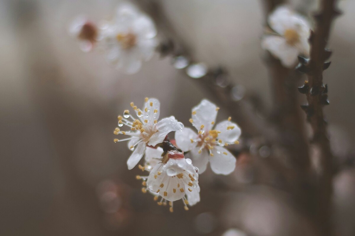  © Foad Roshan, Unsplash.com