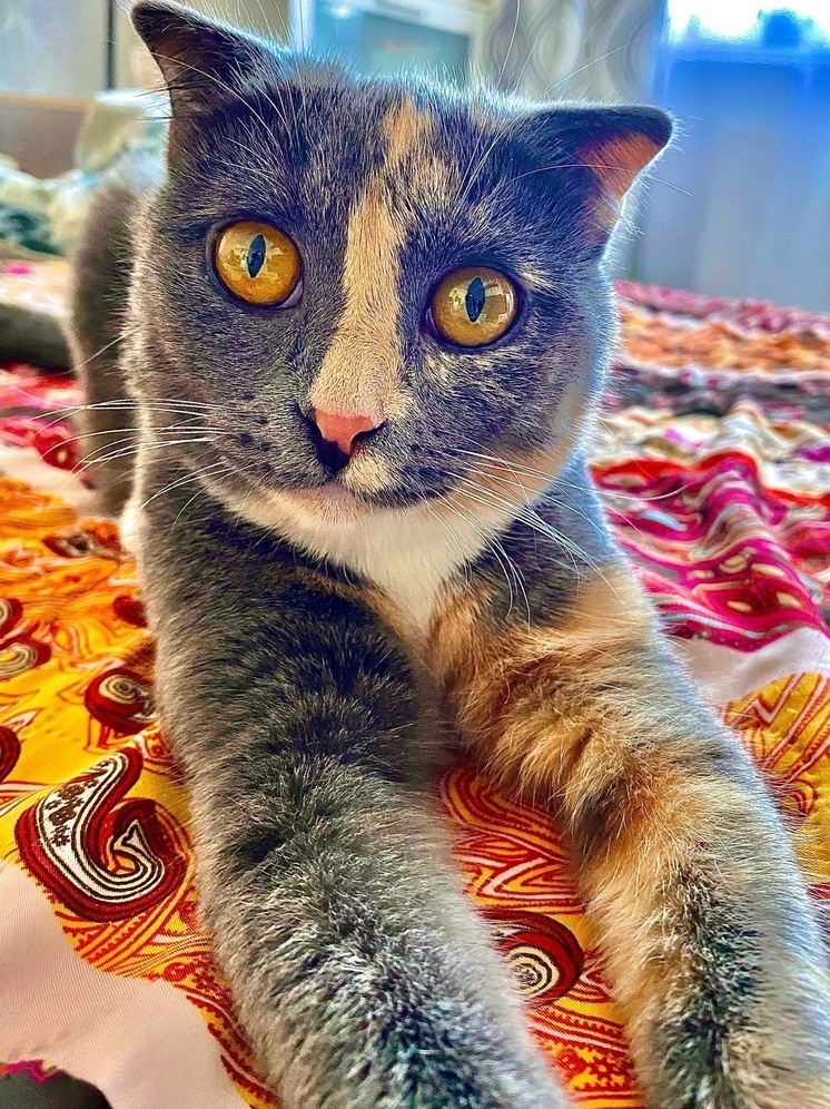     Фото: "МК в Калуге"