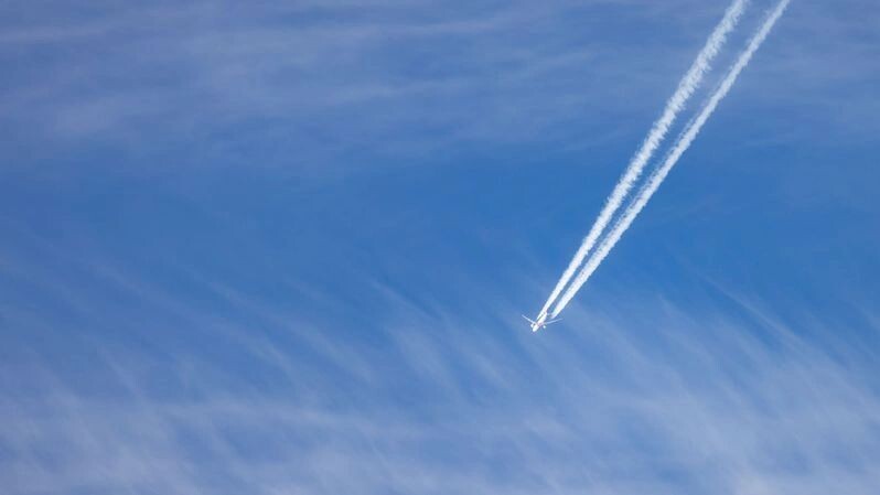    Фото: Федор Воронов/«Ямал-Медиа»