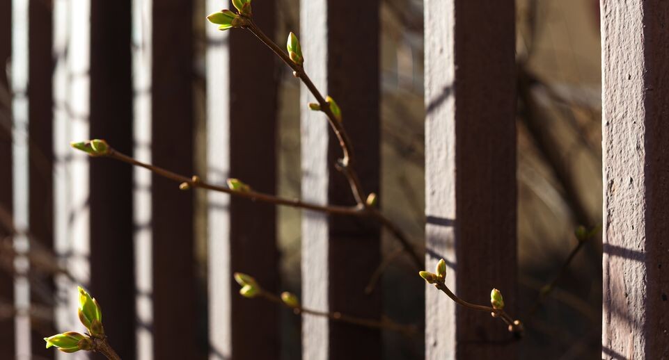    Весна пришла в Подмосковье / Медиасток.рф