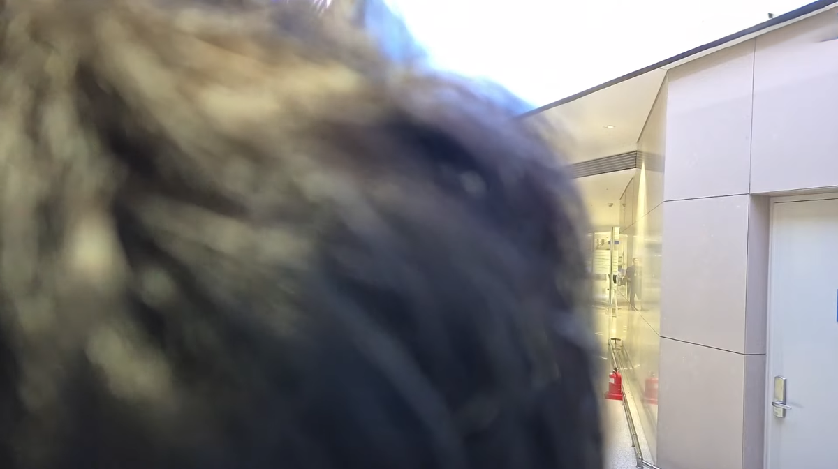 Скрин Автора