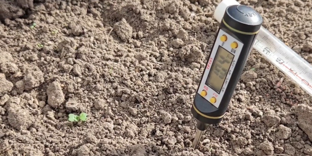 Приехала на участок, а земля в теплице +10,4°C. Можно ли сажать? Рассказываю, что я сделала